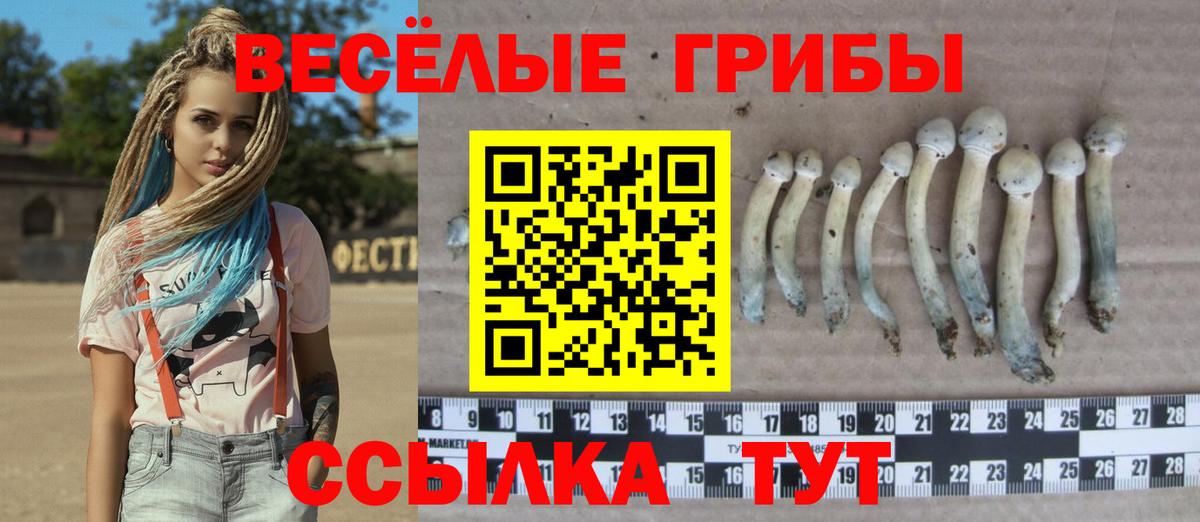 Галлюциногенные грибы Psilocybe  Вход с VPN  Людиново 